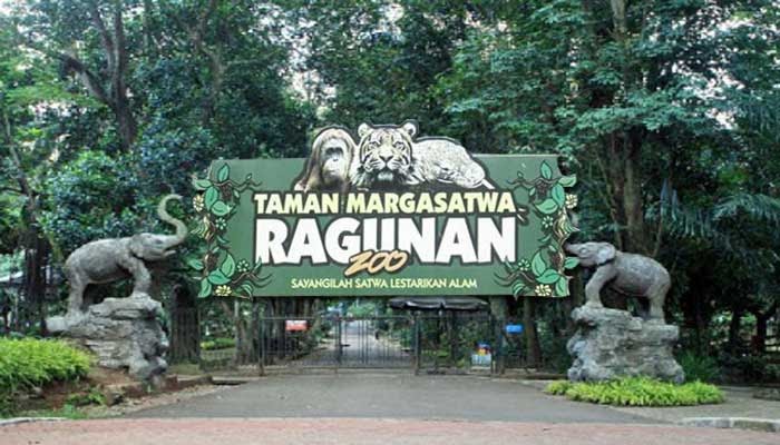 Tempat Wisata Kebun Binatang Ragunan Jakarta